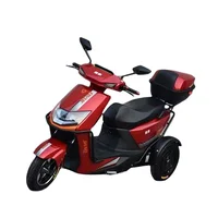 Tricycle Wheeler Electric Chinese Hot Selling 1500W Customized 60V 10 Inch 2 Seat Electric Tricycles Electric Cargo Bike