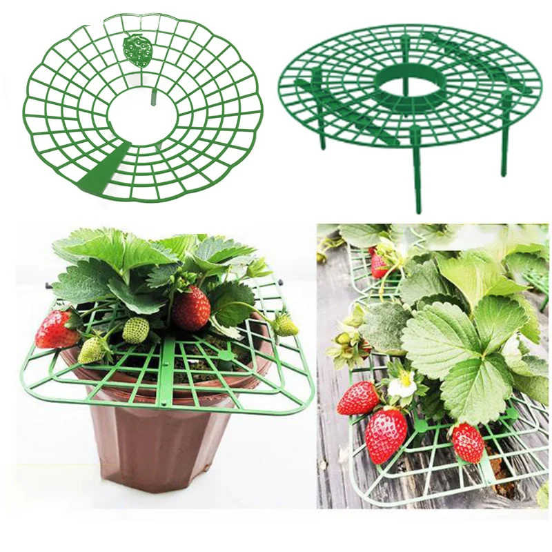 

5x flower Strawberry Support Fruit Stand Green Frame Holder Balcony Planting Rack protect Climbing Vine Pillar jardinage potager