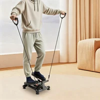 Mini Twist Stepper with LCD Display, Hydraulic Stepper with 2 Detachable Ropes, Total Body Cardio Exercise Machine for Home Use 2