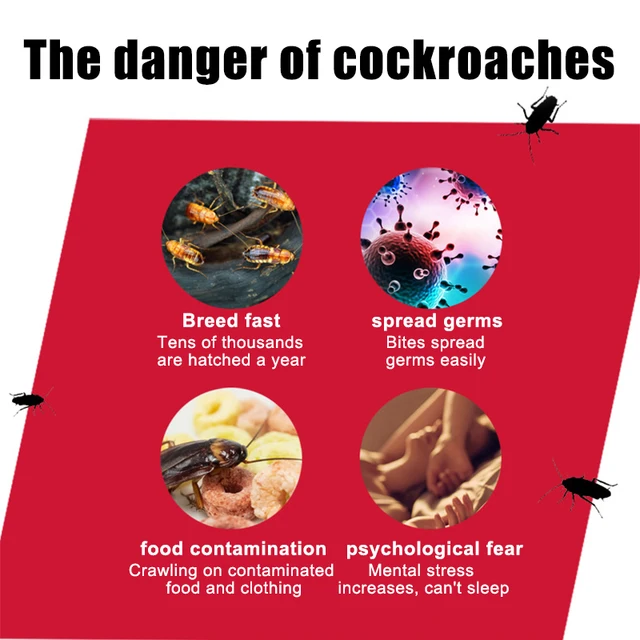 Japán Csótány Gyilkos Csali Ház Csapda Nagy Roach Otthoni Konyhai Fogó Gyógyszer - Image 2