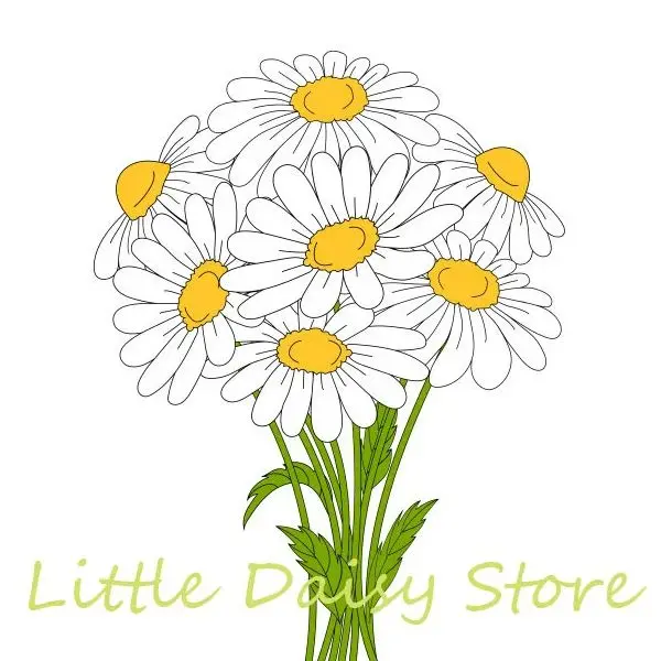 Little Daisy Store
