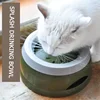 Plastic Anti Spill Dog Bowl for Travel Floating Design Pet Drinking Water Feeder No Wetting Mouth Dog Cat Supplies 4