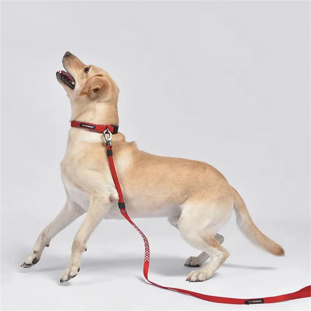 

Dog Collar Large and Medium-Sized Dog Collar Lead Dog Leash Adjustable Labrador Golden Retriever Collar Leash