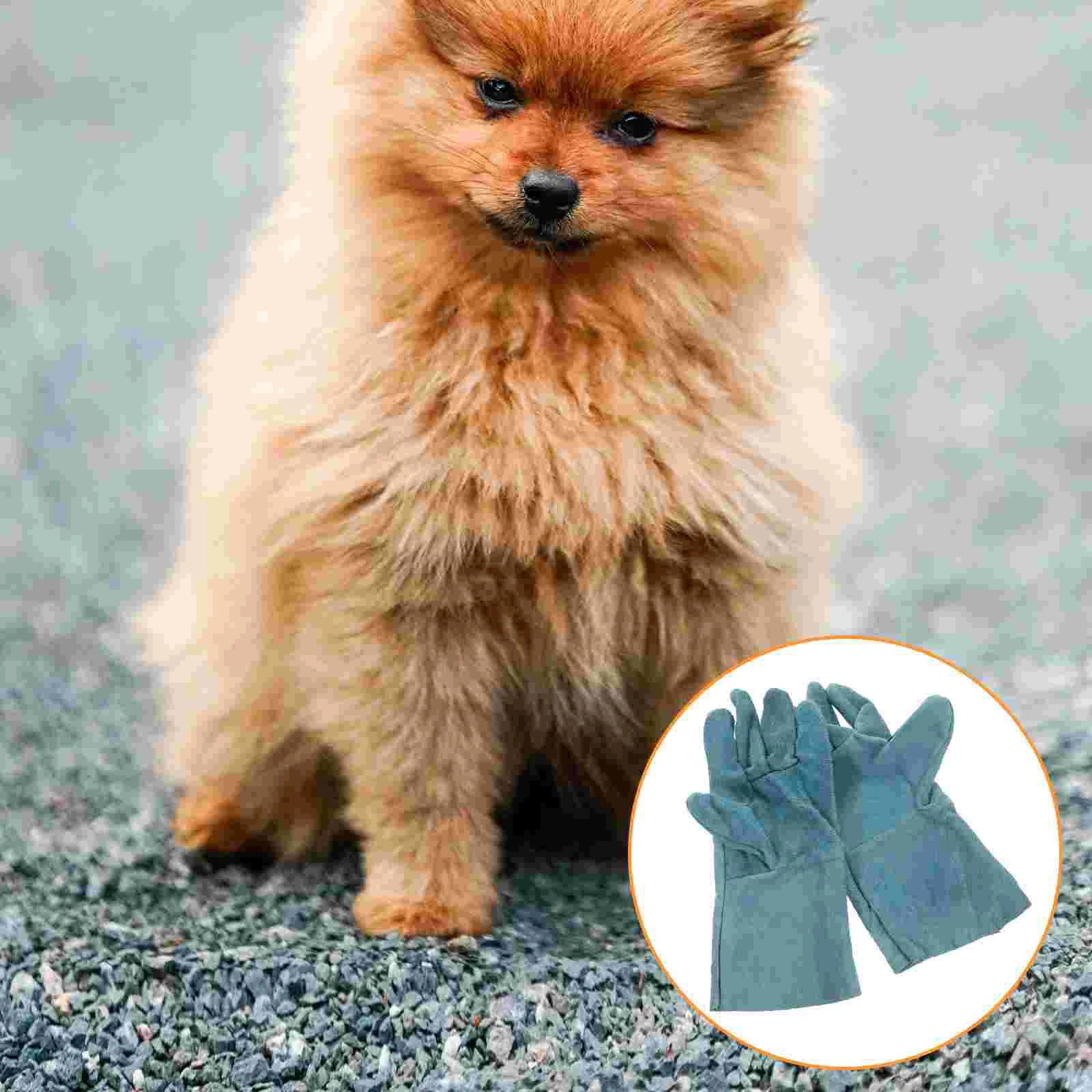 Five Fingers Dog Anti Bite Gloves Pet Playing Protective Gear Animals Training Supplies Pet Products Bite Proof Gloves
