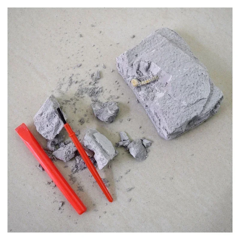 1PCS Dinosaur Fossils Simulation Tyrannosaurus Science Jurassic World Park DIY Archaeological Excavation Game Toys For Children 4