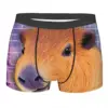 Meme Techno Man's Boxer Briefs Underpants Capybara Highly Breathable Top Quality Gift Idea 1