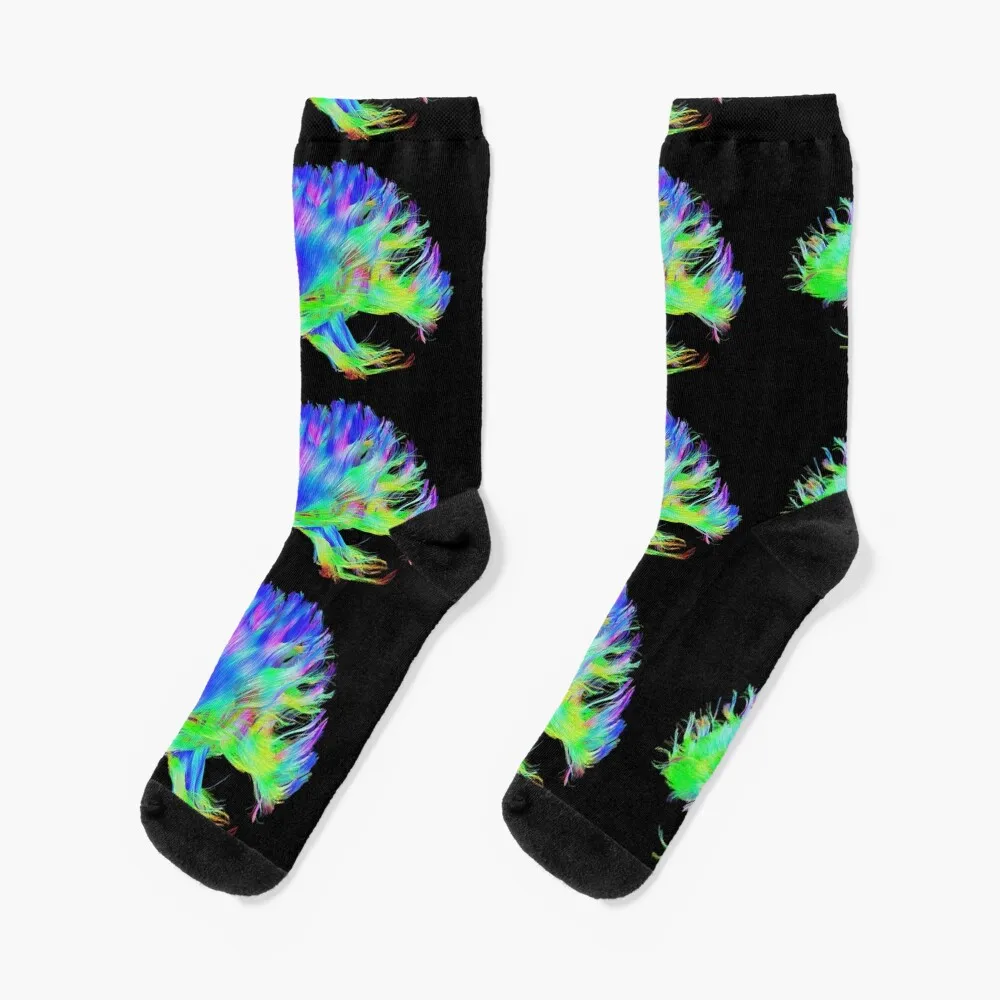 

Fiber Tracts Of The Brain, Dti, Medical Imaging Scan Socks cycling socks Socks Women Men's