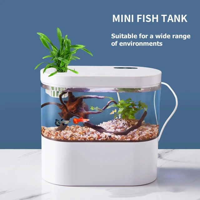 View of Cool Fish Tanks