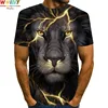 LIghting Lion