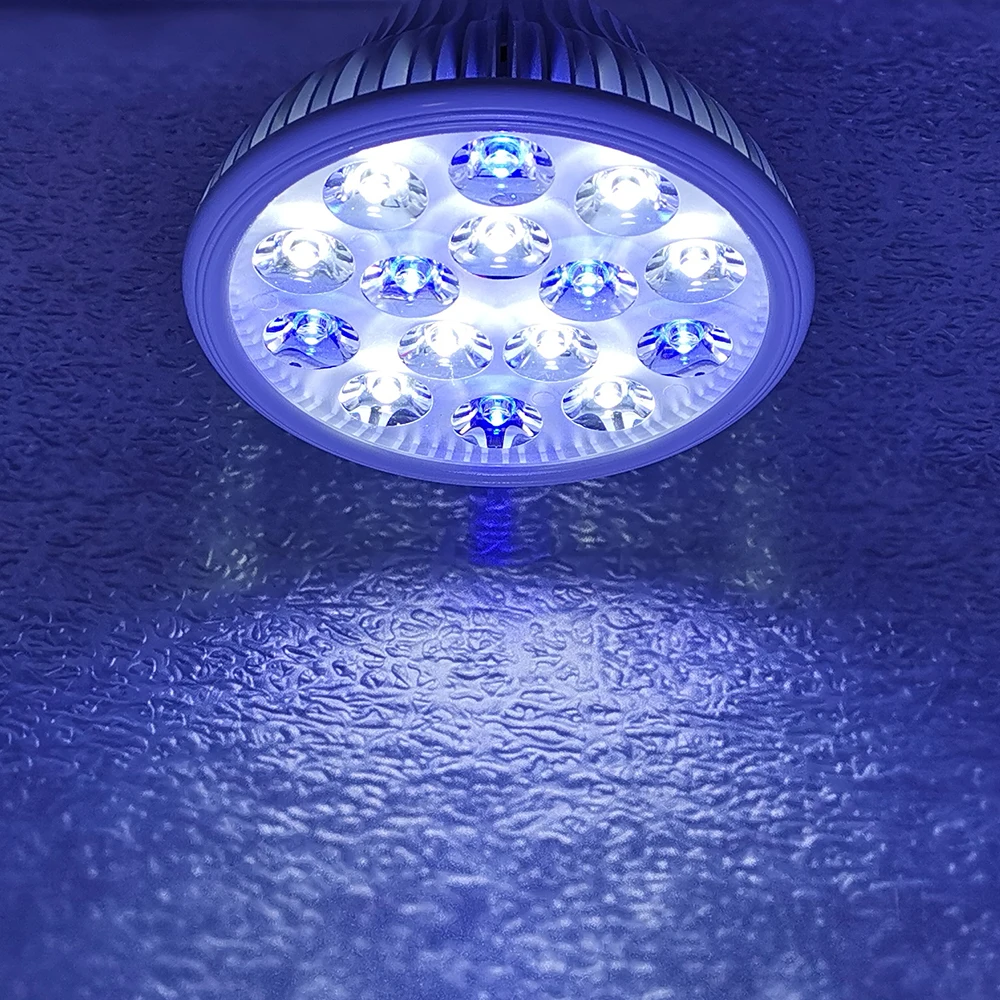 450nm Led In Light Bulbs | EBay - Foto 6