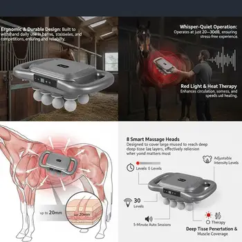 Handheld Equine Muscle Massager 1
