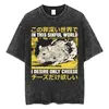 The Horrors Are Never Ending Yet I Remain Silly T-shirt Funny Japanese Style Frog Retro Washed T Shirt Men's Oversized Tees Tops 4