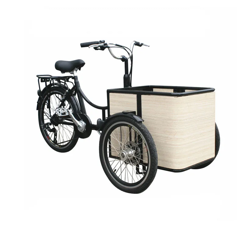 Mini Electric Mobile Cargo Bike Triciclo Per Adulti Carrello Della Spesa Trike Che Trasporta Bambini Bambini Animali Domestici Cane Bakfiets Personali