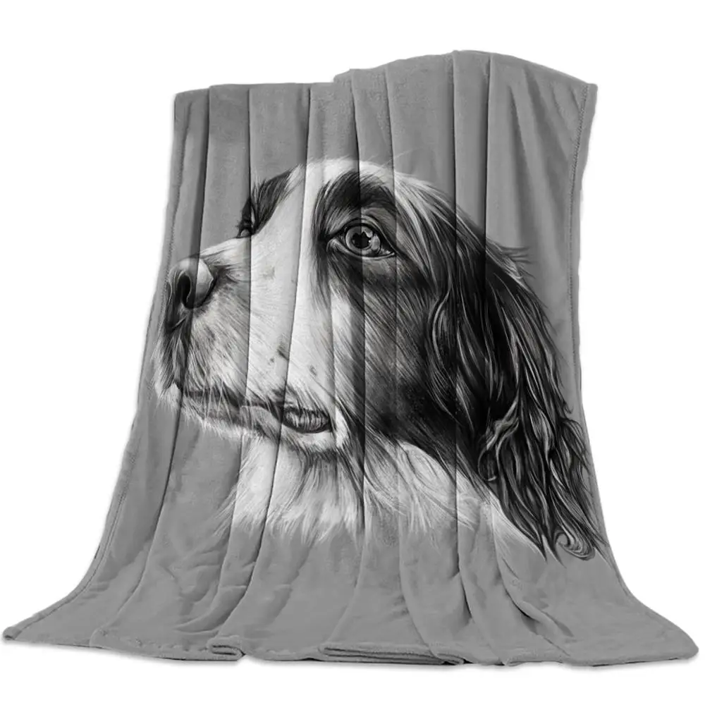 ŷ �� Ǯ ������ ���� ���, ���� ����Ʈ ������ �淮 �ֿ� ���� �� ���� ���� ���� ���� ���, ħ�� ���Ŀ�