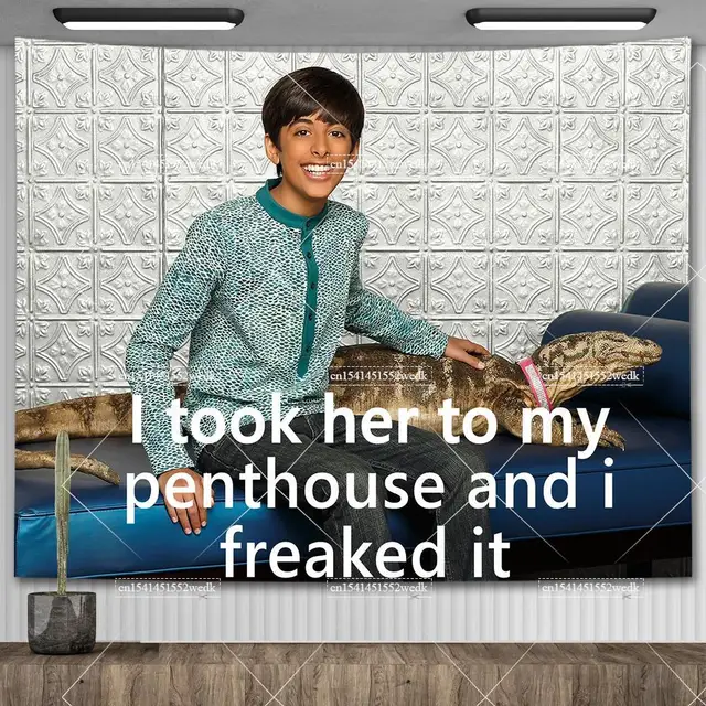 Je l'ai prise à mon penthouse et je l'ai Freaked Tapisserie, Ravi et Mr.s Kipling Meme Tapestry, Décor de chambre esthétique, Décors de fête 4