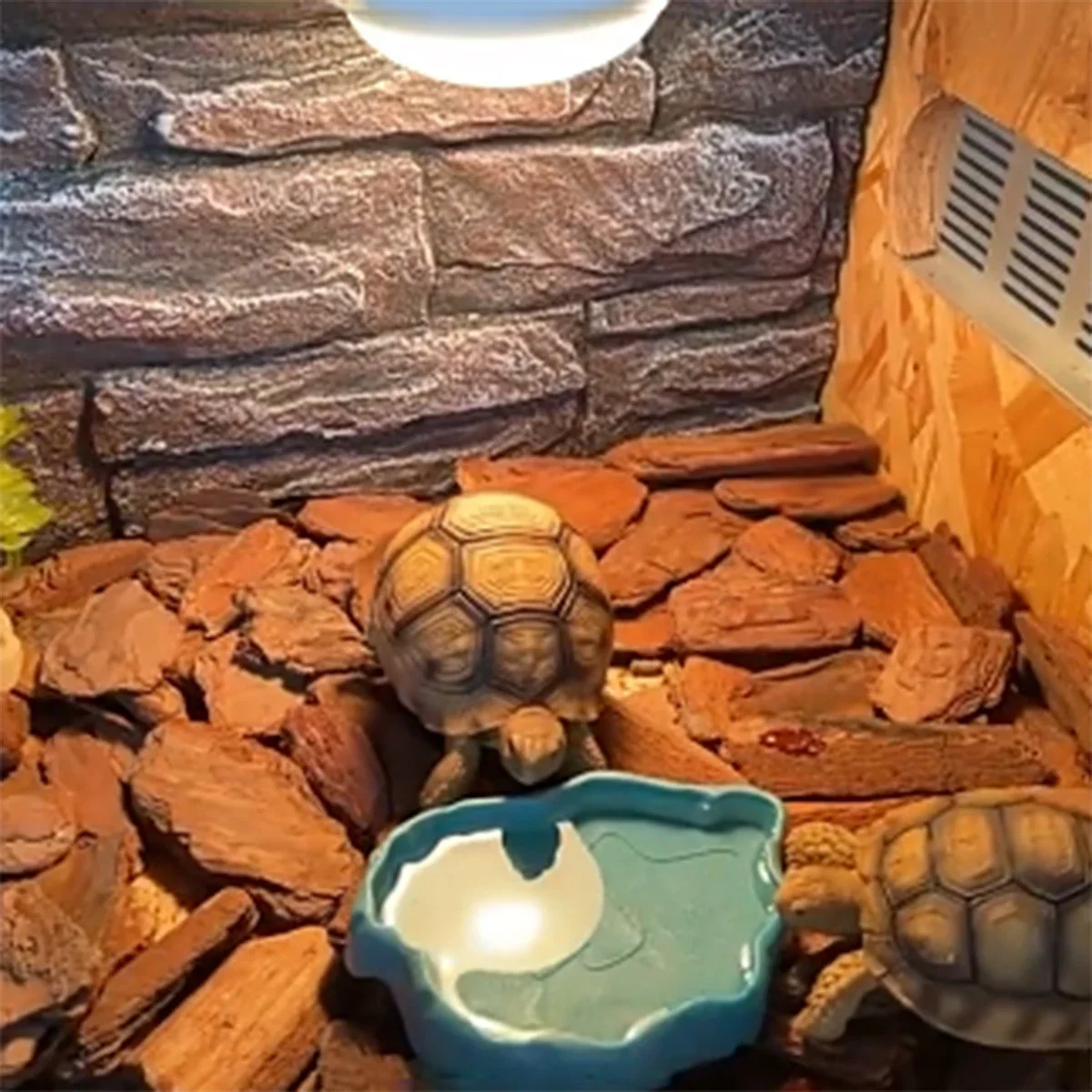 Versatile Small Reptile Feeding & Bathing Dish for Lizards, Turtles