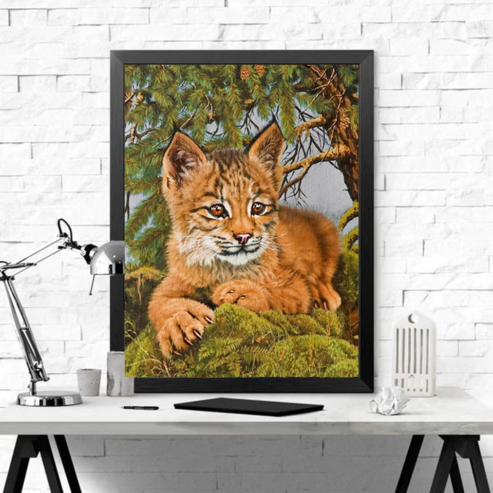 27.jpg_.webp 27.jpg_.webp