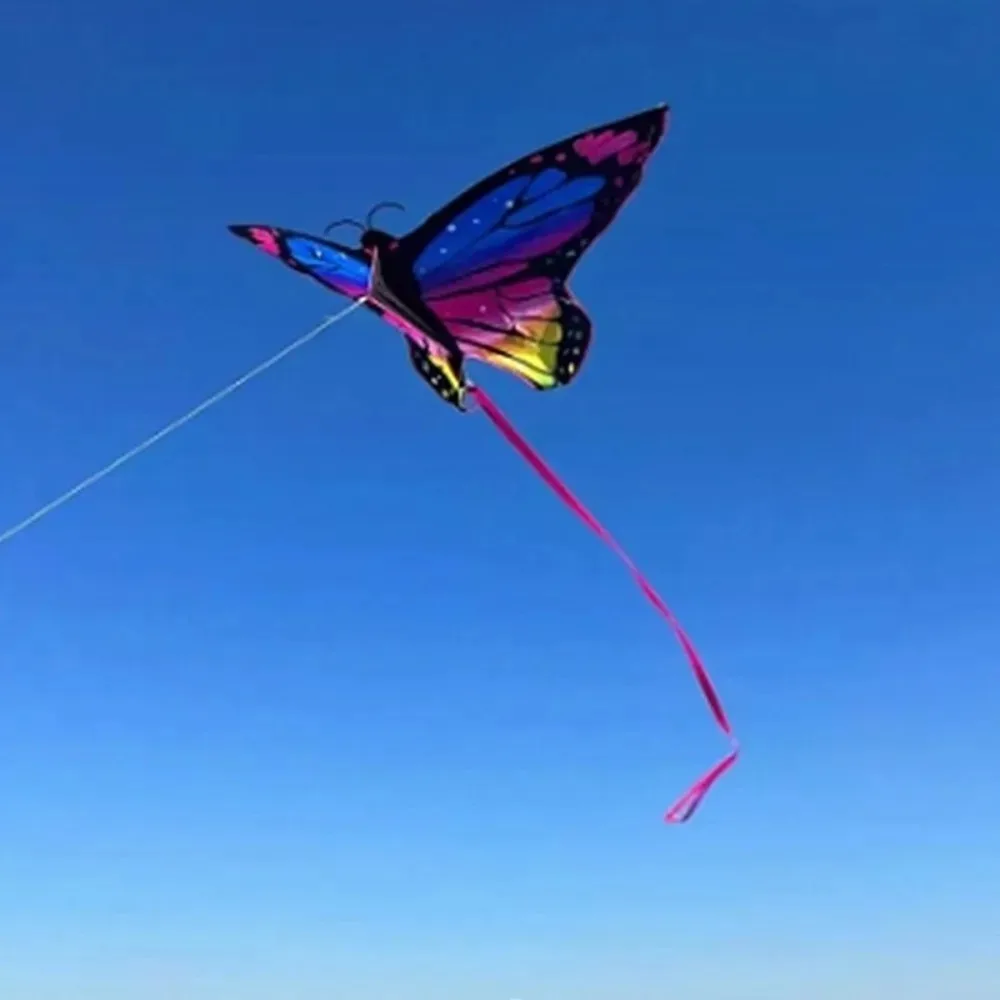 Kite with Tail in Flight