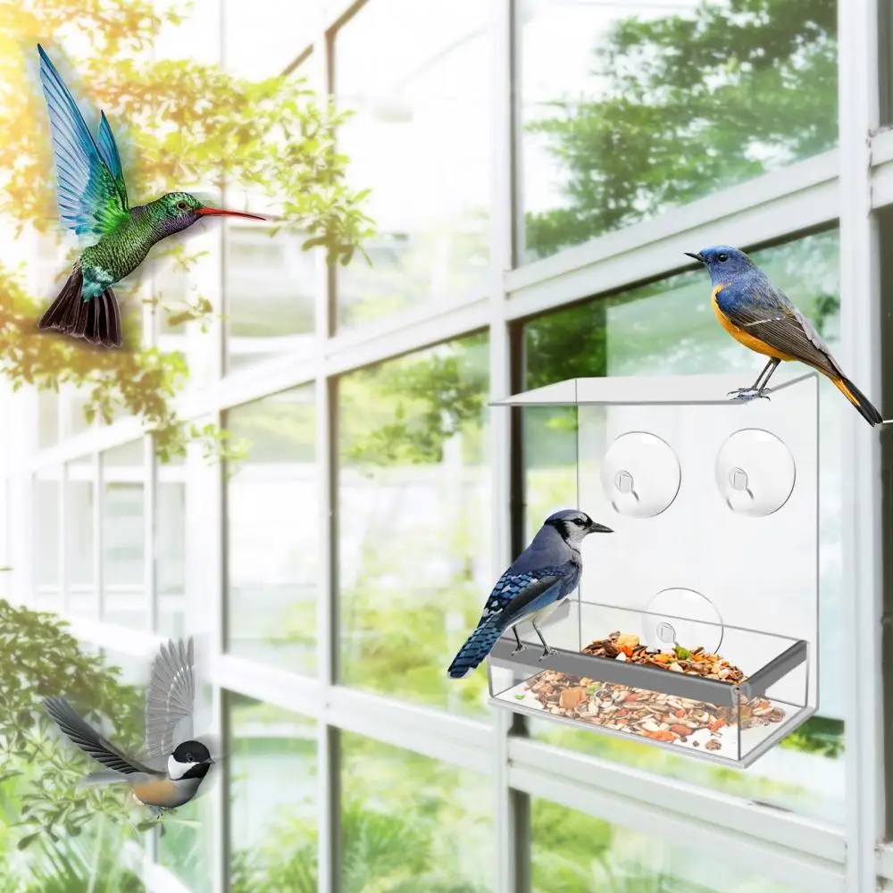 Lvases Acryl-Vogelfutterspender Mit Saugnäpfen – Durchsichtig, Regensicher, Bis 0,8 Kg Fassungsvermögen