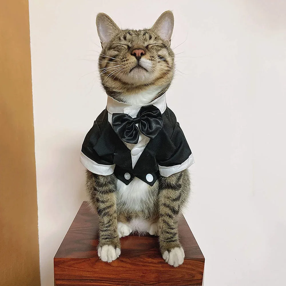 Elegant Dog Tuxedo Suit Details