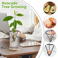 Avocado Tree Growing Kit Wooden Base Starter Vase Avocado Tree Starter Vase Glass Propagation Plant Pot Sprout Growing Vase For 1