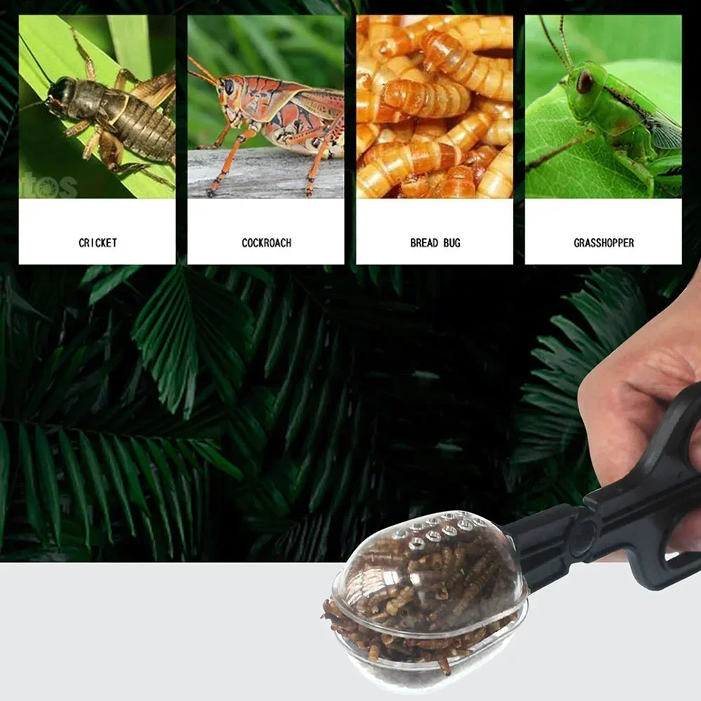 Reptilian Supplies Clip Feeding Cleaning Feces Clip Multi-purpose for Feeding Reptiles Bread Worms Breeding Insect Clips