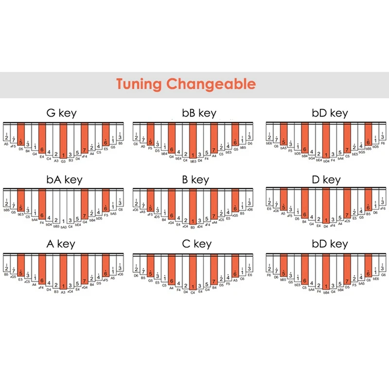   ٵ Ǳ Į  ǾƳ, н , ũ , 17 Ű Į ǾƳ