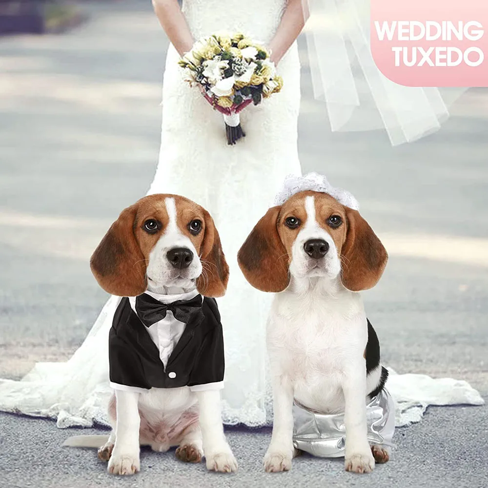 Elegant Dog Tuxedo Suit Side View