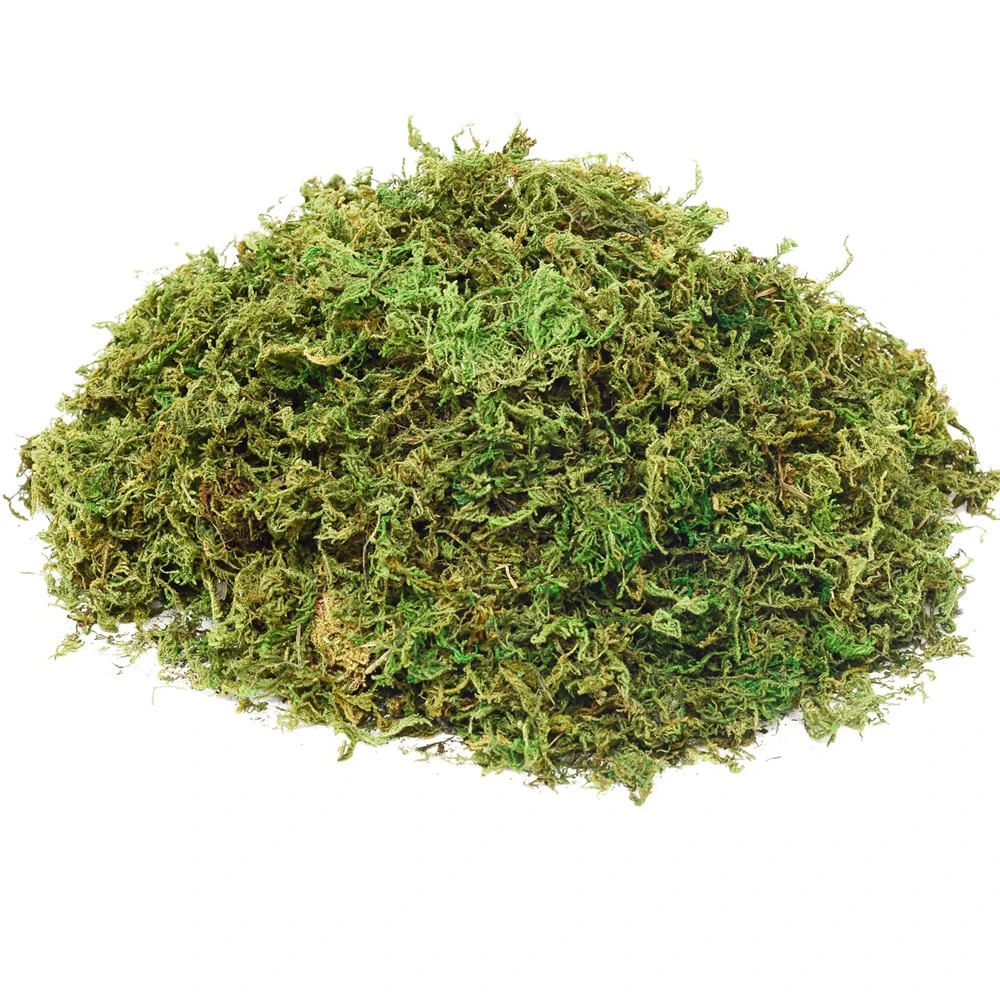 50/100g Moss for Potted Plants Artificial Moss for Fake Plants Faux