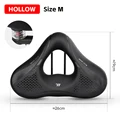 261 Hollow M
