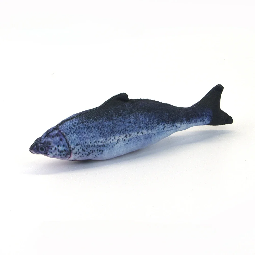 Salmon