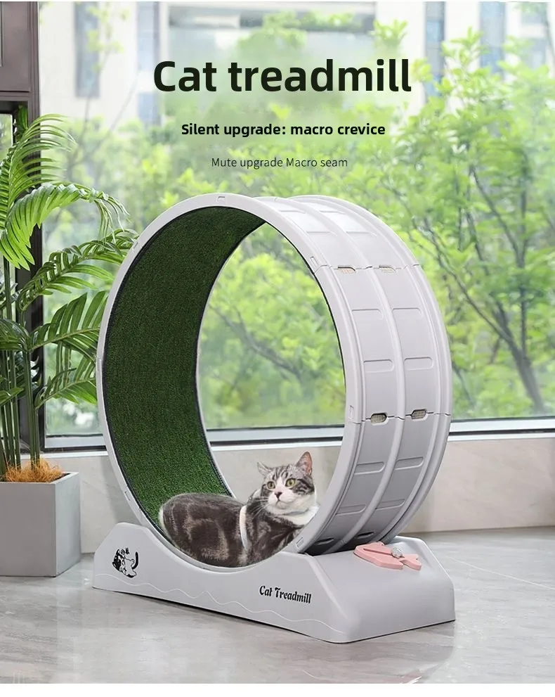 A gray and white tabby cat lounging comfortably inside the cat treadmill wheel. The text above emphasizes the "Silent upgrade: macro crevice" for quiet operation while the cat rests or plays.