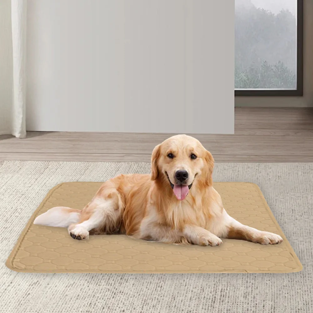 Reusable Anti-Slip Pet Pee Pad Absorbent Puppy Training Mat