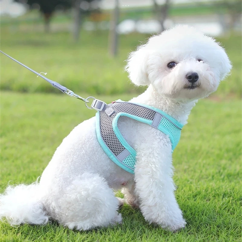 Pet Chest Strap Reflective Dog Leash Cat And Dog Chest Strap Pet Strap hemp dog collars