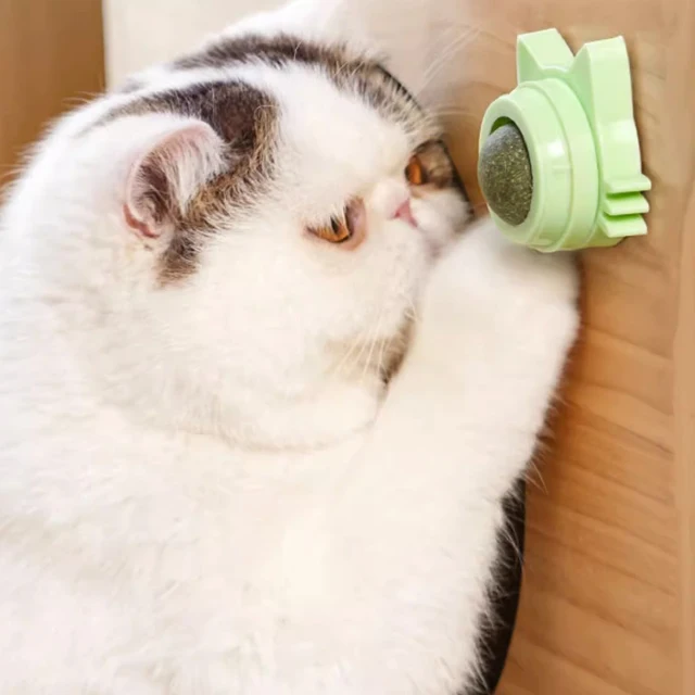 Catnip Lollipop Ball 3