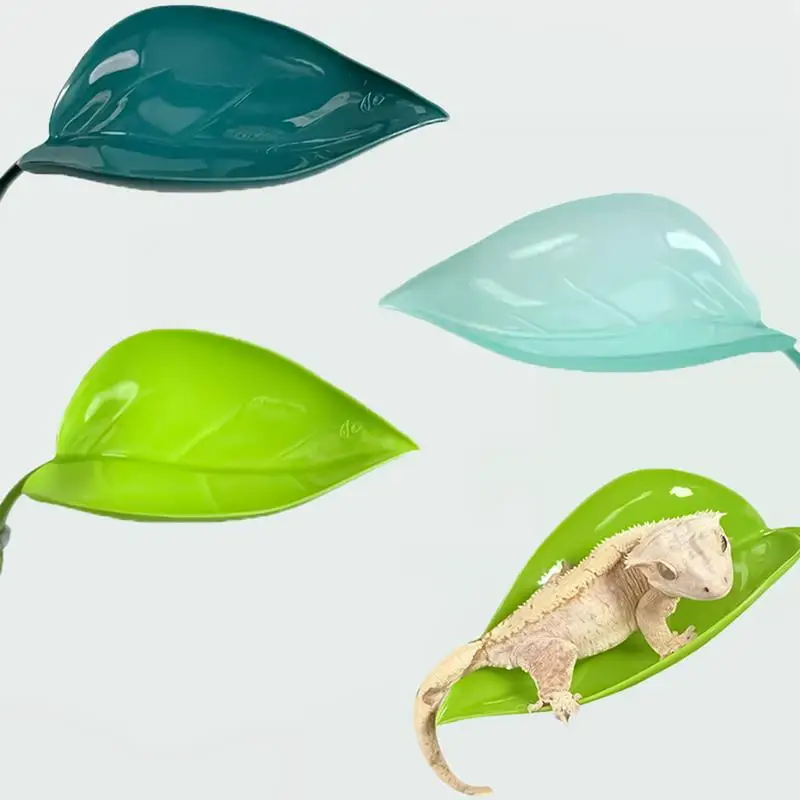 Spullen Voor Schildpadden In Tank