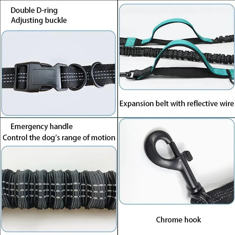 Reflective Double Elastic Retractable Dog Leash - Wholesale Pet Supplies