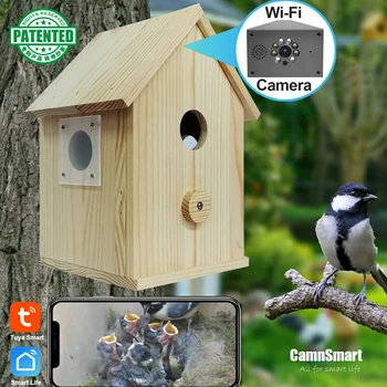 Smart Camera Bird House 1