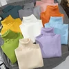 Fashionable Autumn Winter Women's Turtleneck Sweater with Long Sleeves and Cashmere Blend Ribbed Sweaters 1