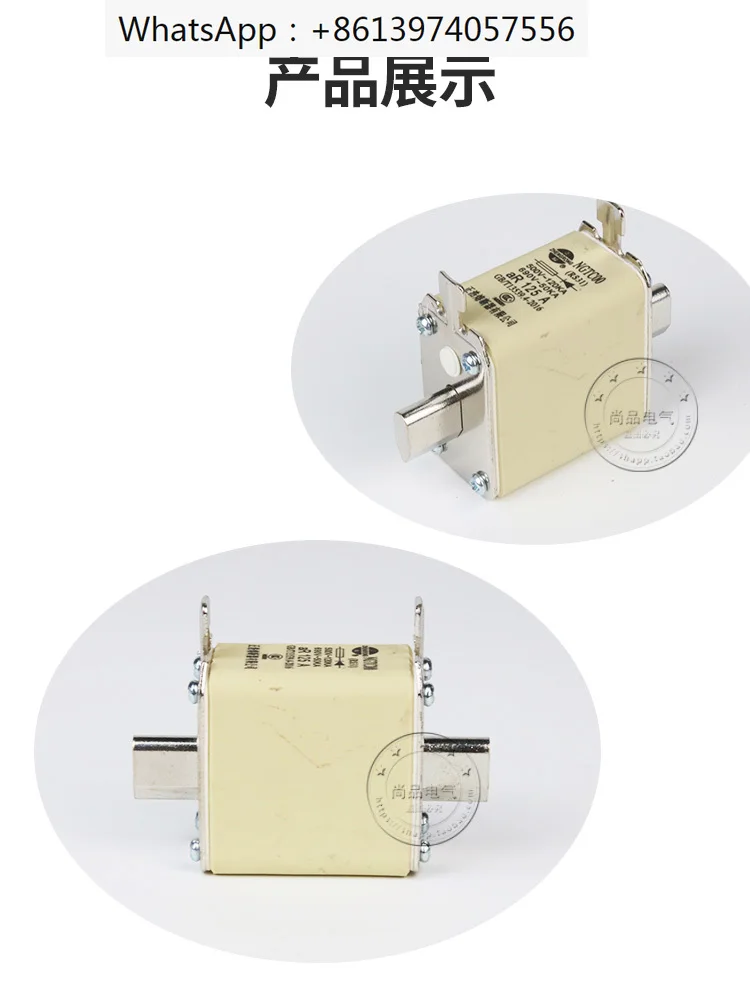 

5 Pieces Pack NGTC00 Fast Fuse RS31 Fuse NGTCOO Fuse Core 32A63A100A125A160A690V