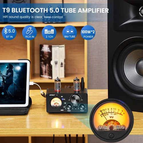 AIYIMA 오디오 T9 하이파이 블루투스 5.0 진공관 앰프, USB DAC 스테레오 앰프, COAX OPT VU 계량기 앰프 스피커 앰프 3