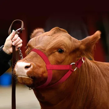 Adjustable Horse & Cow Halter 5