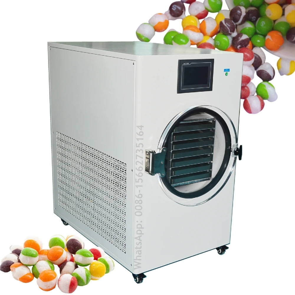 Household Freeze Dried Food Vacuum Lyophilizer Mini Fruits Vegetables Meat Coffee Fast Drying Home Freeze Dryer Machine Price