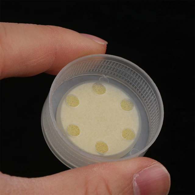 10Db Ehető Gomba Tömítő Ívott Táska Sapka Zár Szivacs Gyűrűs Pezshető Kert Ültetvényes Szerszámok - Image 3