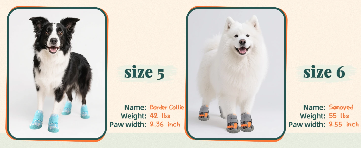 dog winter boots