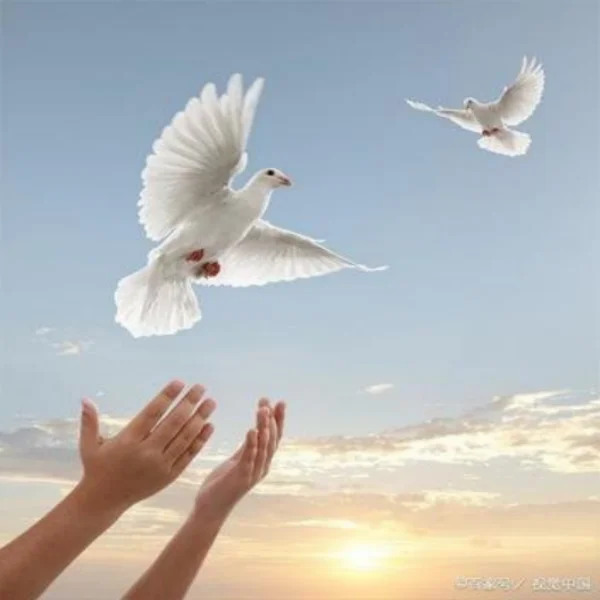 Peace And Love Beauty Store