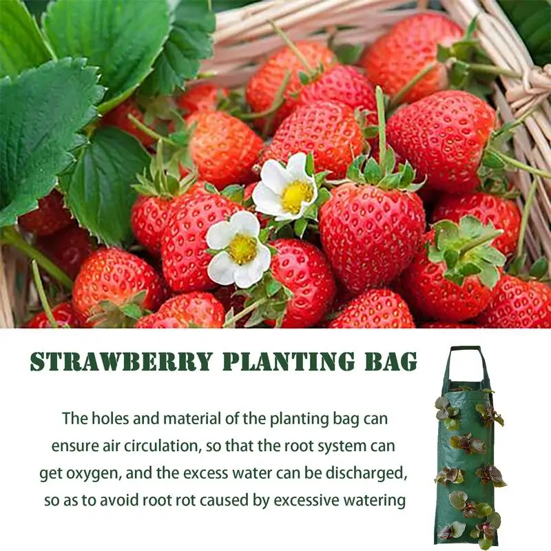 Wall-Hanging-Plant-Bags-Strawberry-Grow-Bag-Aeration-Fabric-Pots-With-Handles-Grow-Bags-Potato-Grow.jpg Fali Függő Növény Táskák Eper Termesztés Táska Levegőztető Anyag Fogakkal Termesztett Burgonya Nő - Image 3