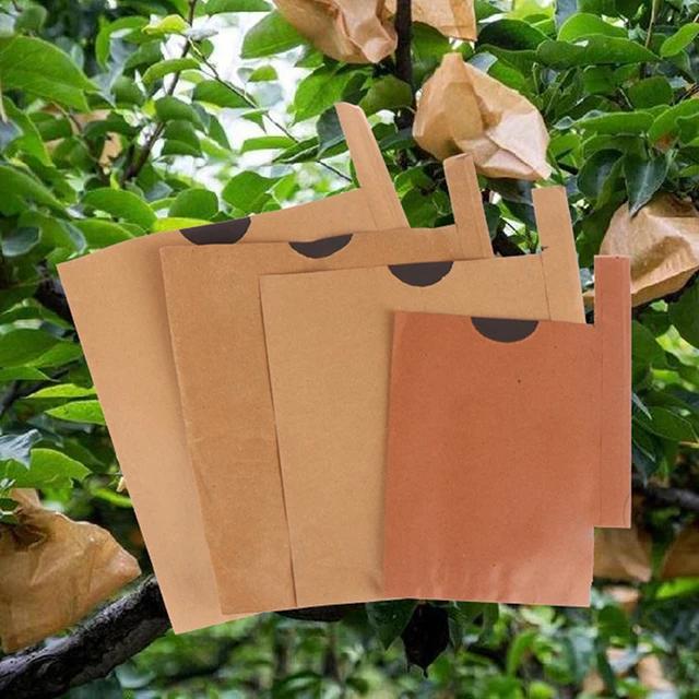100Db Gyümölcsvédelmi Papírzsákok A Loquat Mango Szőlő Anti Rovar Madarak Tasak Vízálló Kártevőirtó Kert - Image 2