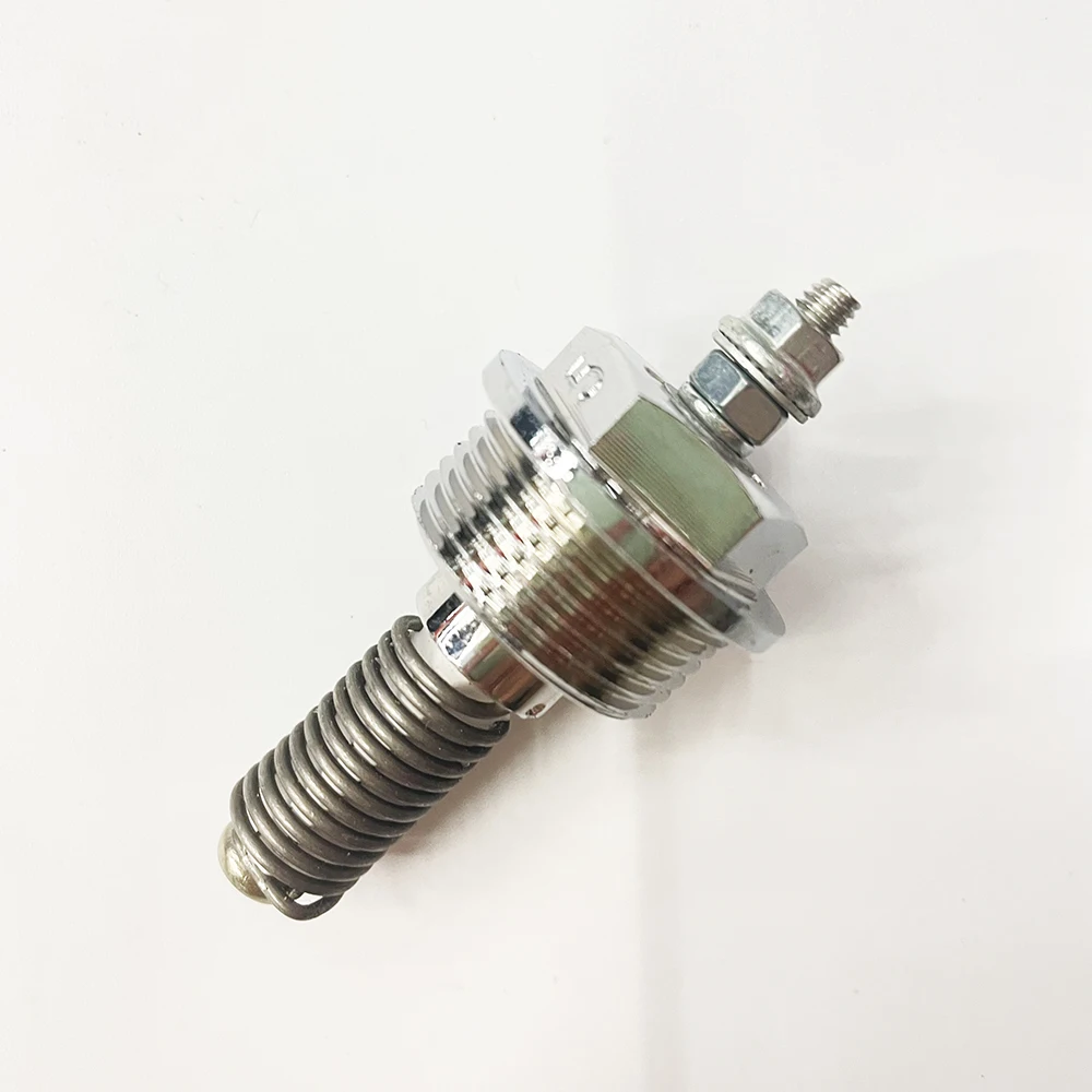Boiler Ignition Plug Diesel Parking Heaters Glow Plug Screen Strainer Heater Truck Antifreeze Heater Spark Plugs For Eberspacher