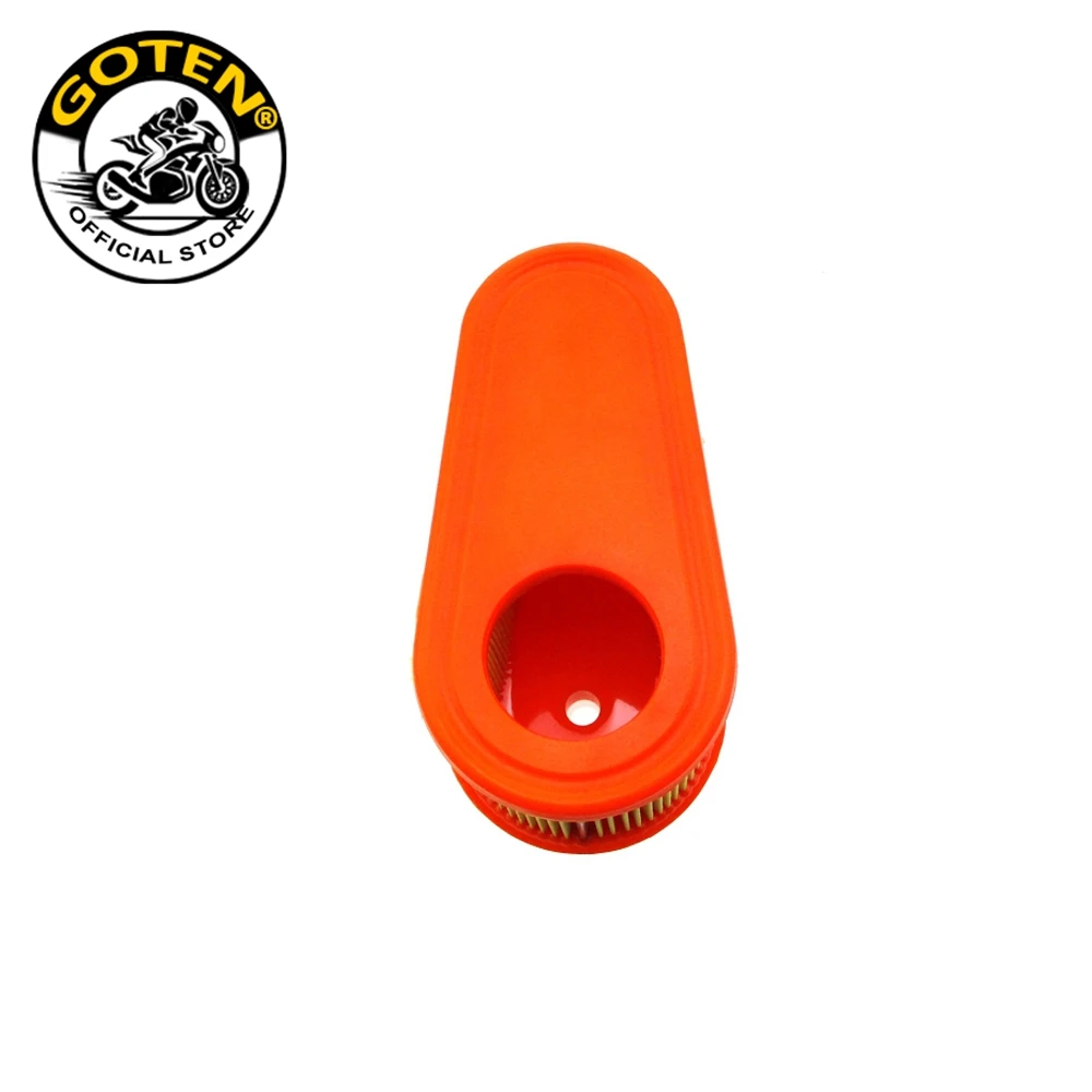 Goten ���� ����, Briggs & Stratton 795066